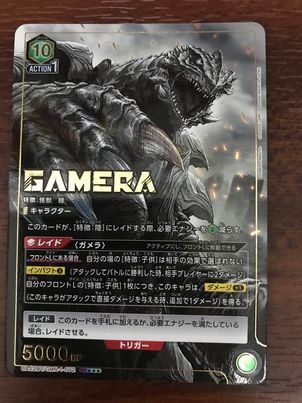 gamera&PSA 10 Shanks